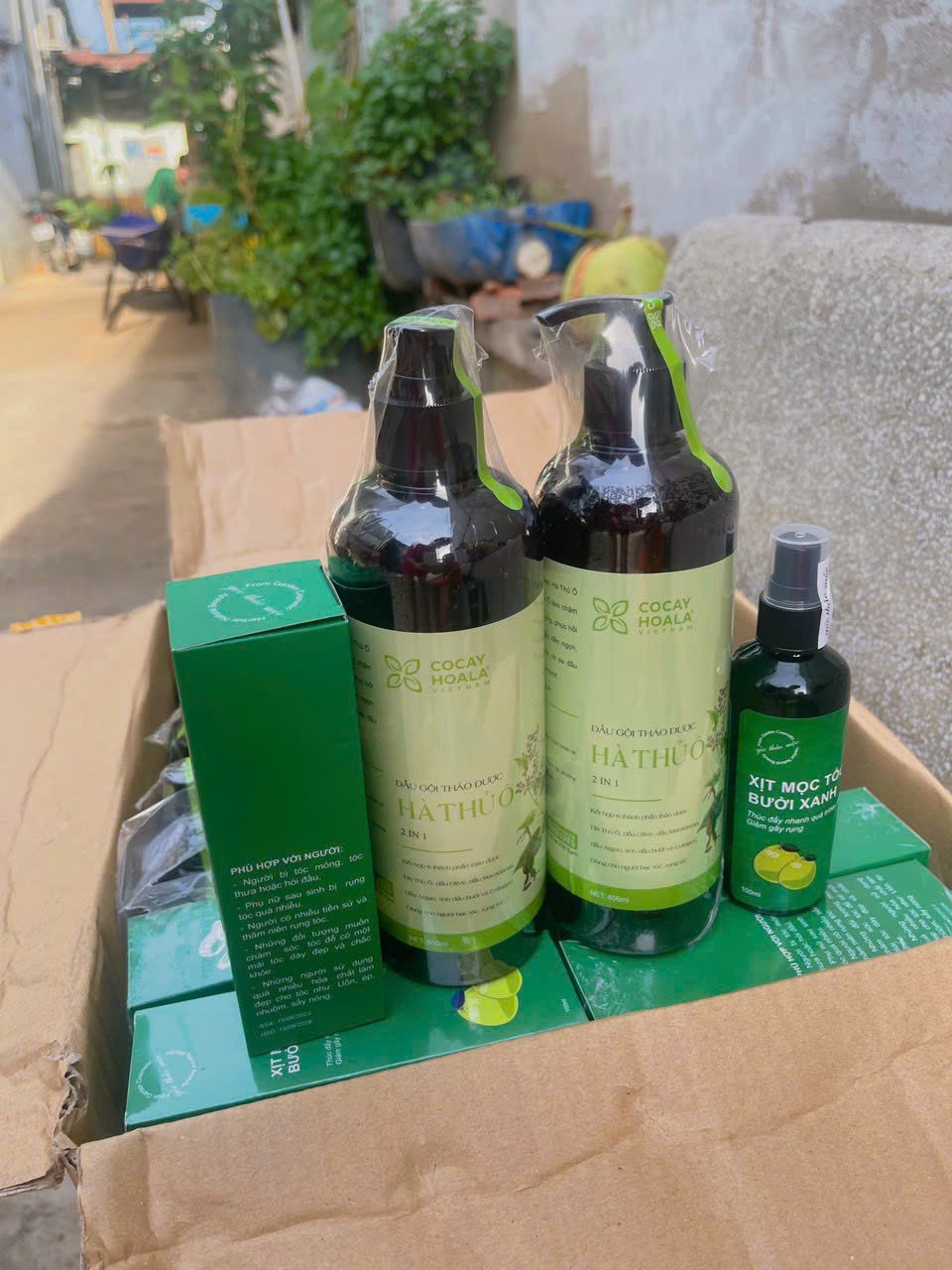 Mua 2 Chai Dầu gội Hà Thủ Ô 800ml giảm rụng tóc giảm bạc tóc kích thích mọc tóc Dầu gội thảo dược Hà Thủ Ô Tặng 1 chai xịt mọc tóc bưởi xanh 100ml