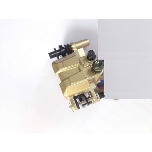 Heo dầu trước sirius Hàng đẹp