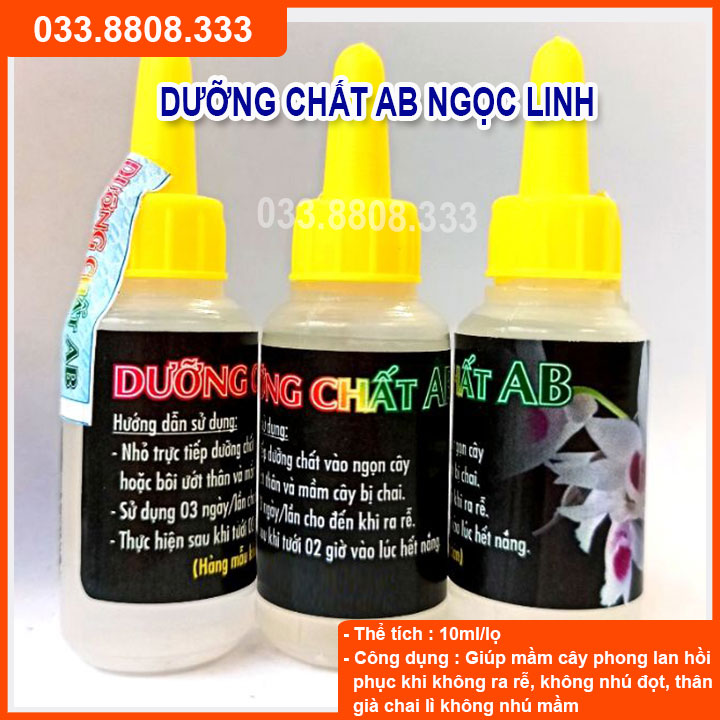 Dưỡng Chất AB ( 10ml) Giúp Phục Hồi Mầm Gốc, Kích thích Ra Rễ, Nuôi Dưỡng Mầm Hoa