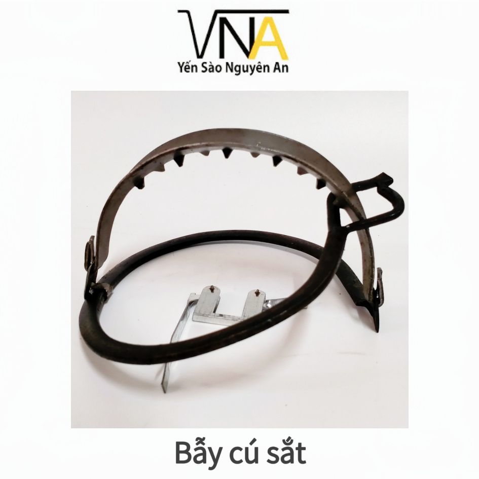 Bẫy sắt kẹp chim cú - bẫy chim cú nhà yến