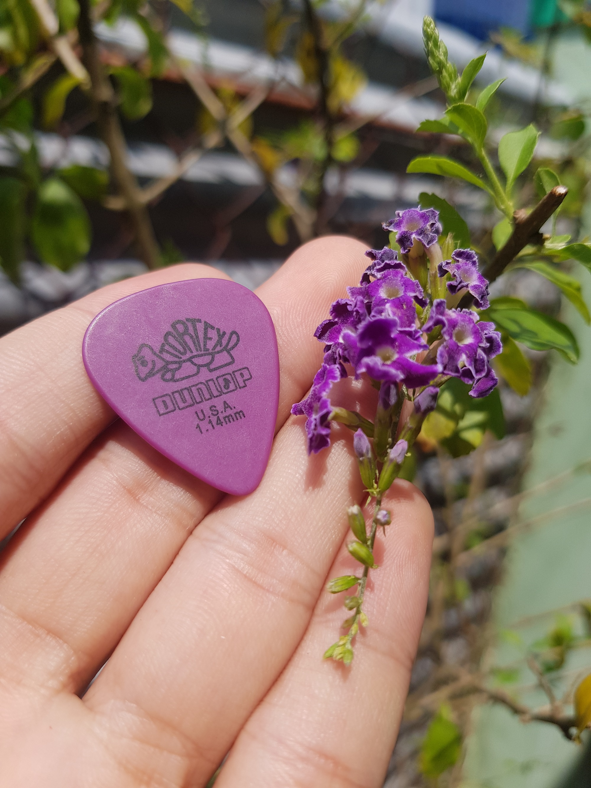 Pick gảy - phím gảy dunlop dày 1.14mm dành cho đàn guitar - ukulele