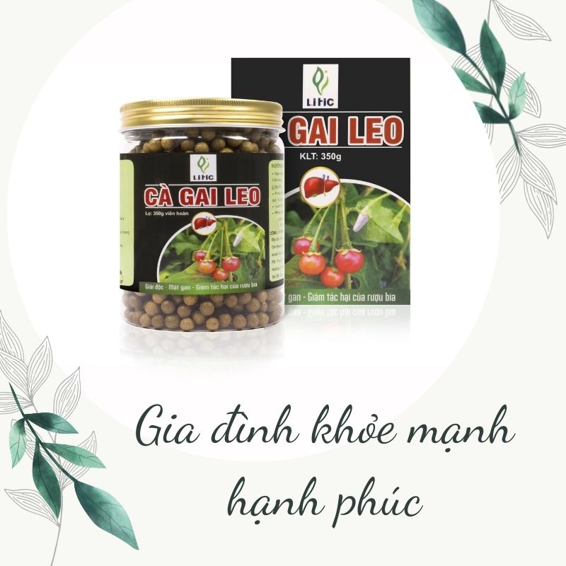 Viên Cà gai leo cao mật nhân 400g, phòng ung thư, chống khô hạn, cân bằng nội tiết tốt, dạ dày, gan nhiễm mỡ, ổn định huyết áp,