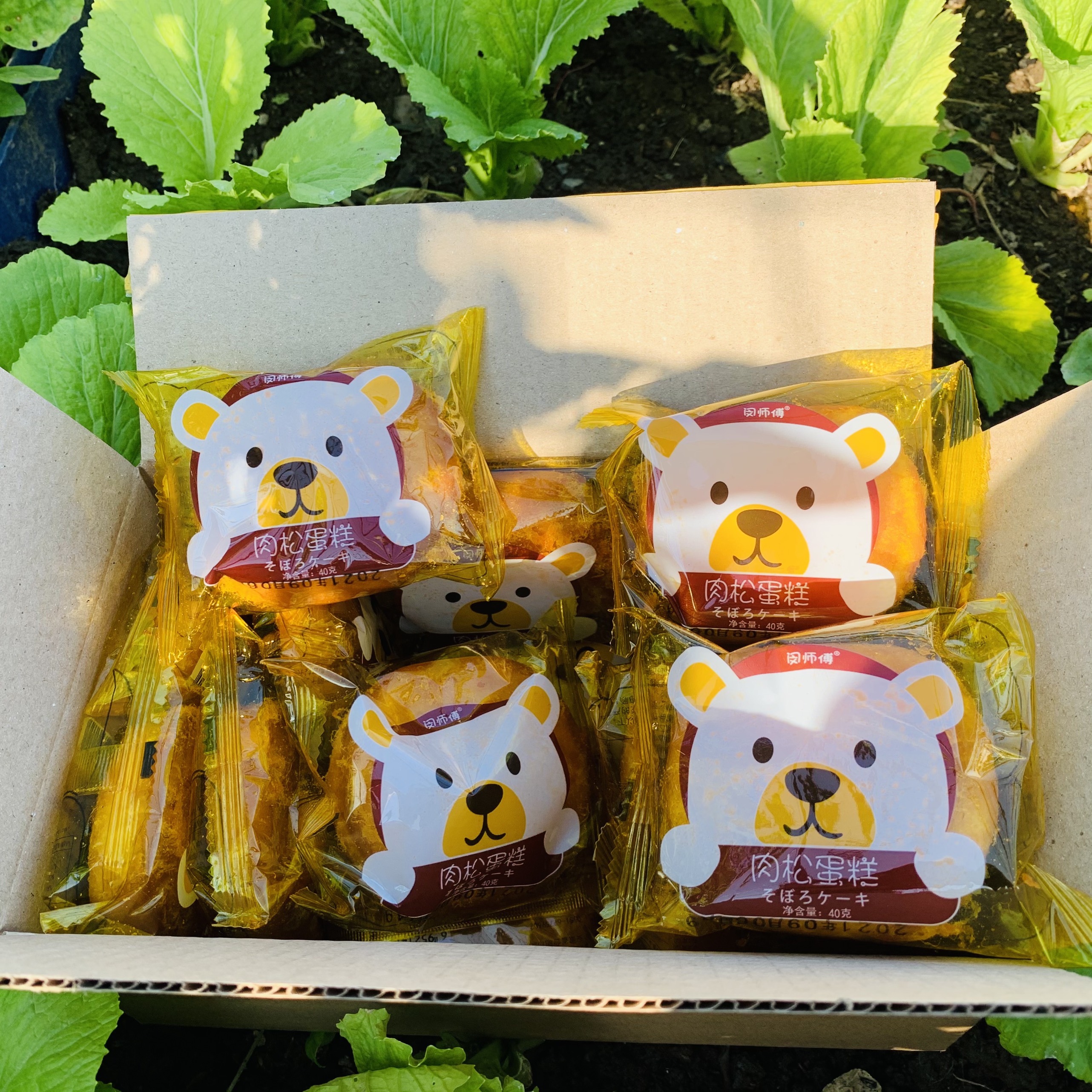 Hộp 15 chiếc bánh ruốc gấu Đài Loan 500gr - doanngonvietnam
