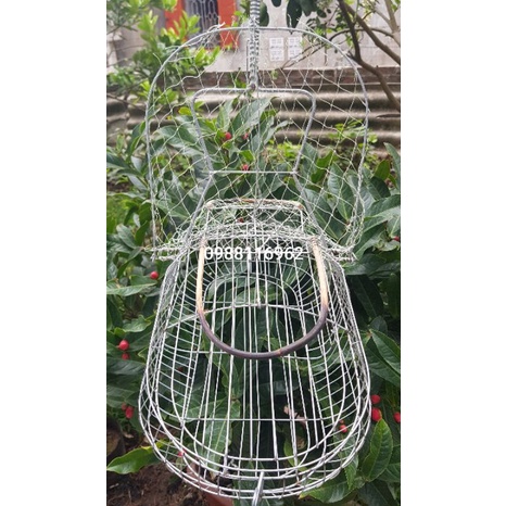 Lồng bẫy chim chào mào chất liệu thép mạ kẽm