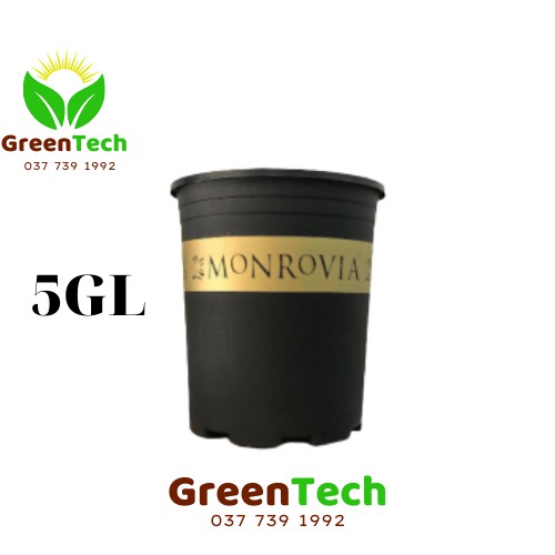 Chậu Nhựa MONROVIA 5GL Việt Nam - Chậu Trồng Cây Cảnh, Hoa