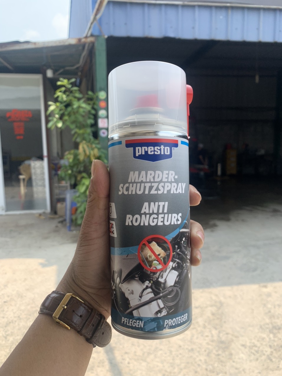 Chai xịt chống chuột khoang máy (Presto Anti Marten 400ml).