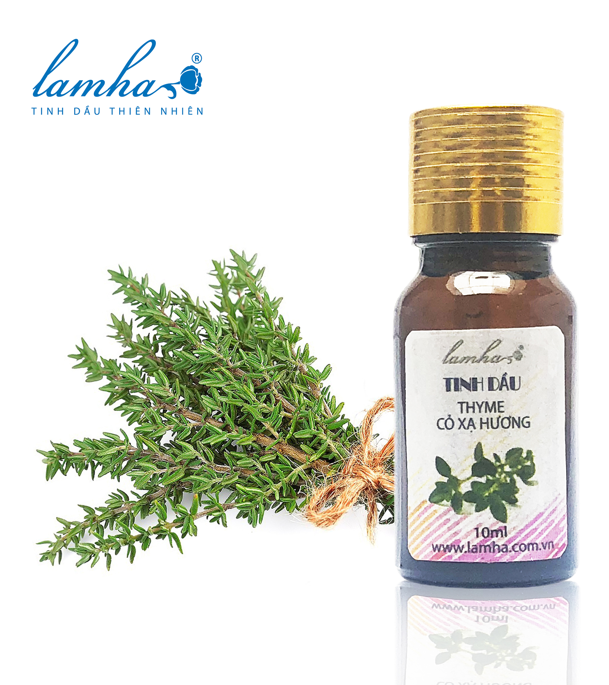 Tinh dầu cỏ xạ hương 10ml lam hà