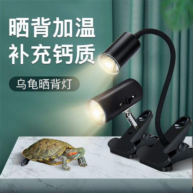 【HOT】 Phụ Kiện Đường Ống Chữa Cháy, Bóng Đèn Làm Nóng Bằng Gốm Rùa, Điều Khiển Nhiệt Độ, Cách Nhiệt, Sưởi Ấm, Rùa, Khử Trùng Hồng Ngoại, Đèn Sau Rùa