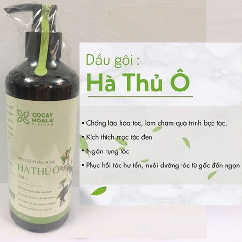 [K] 1 CHAI 800ml DẦU GỘI THẢO DƯỢC HÀ THỦ Ô 2 IN NGĂN NGỪA RỤNG TÓC KÍCH THÍCH MỌC TÓC GIẢM GẦU KHÔNG RỤNG TÓC