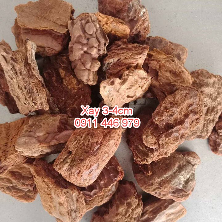 1kg vỏ thông trồng lan xay mài cạnh đẹp 3-4cm vỏ thông Mitabo- Giá thể trồng lan chuyên dụng
