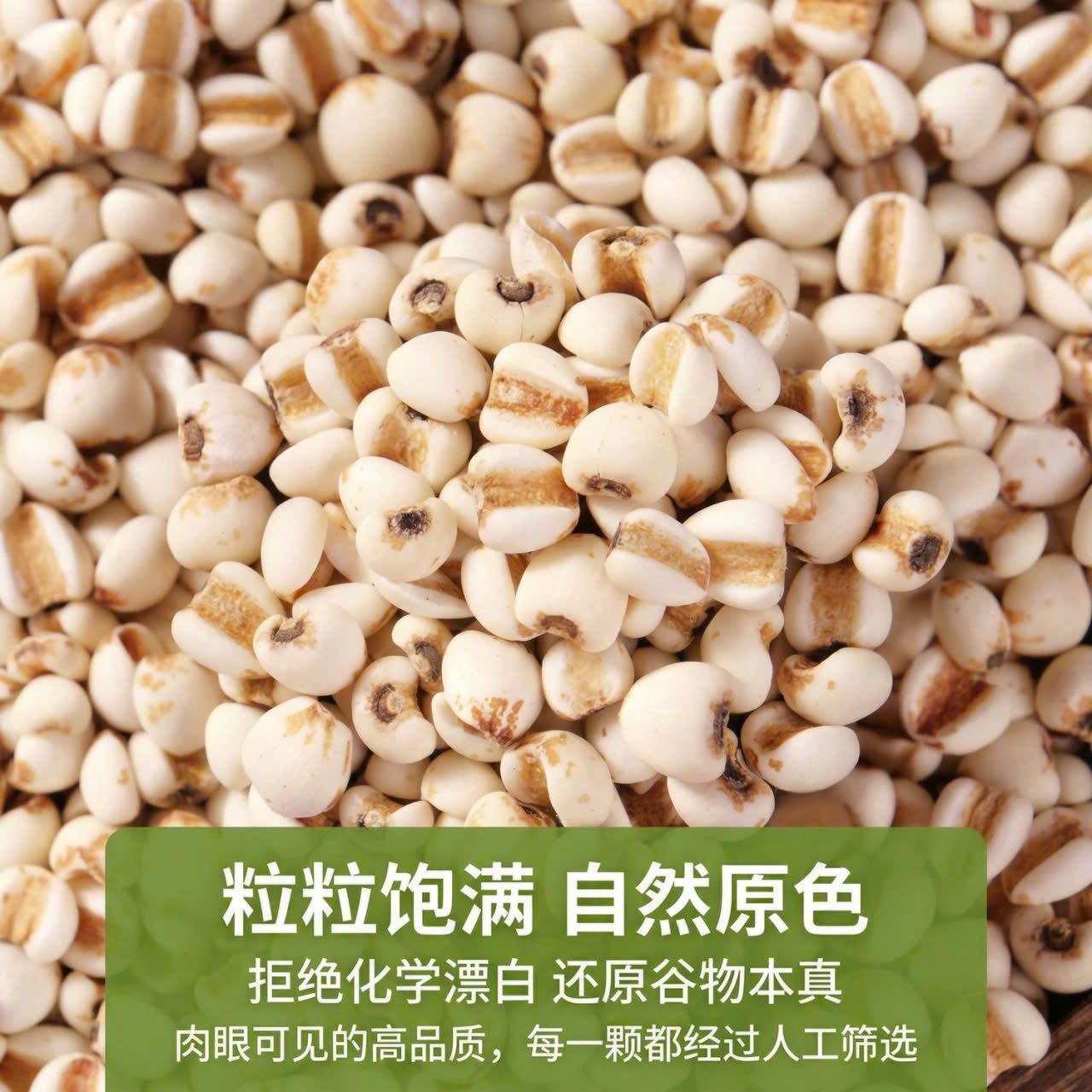 [2 cân (1 kg) cực rẻ!] Hạt ý dĩ Quý Châu chính hiệu, hàng mới về, không lưu huỳnh, không đường, hút ẩm.