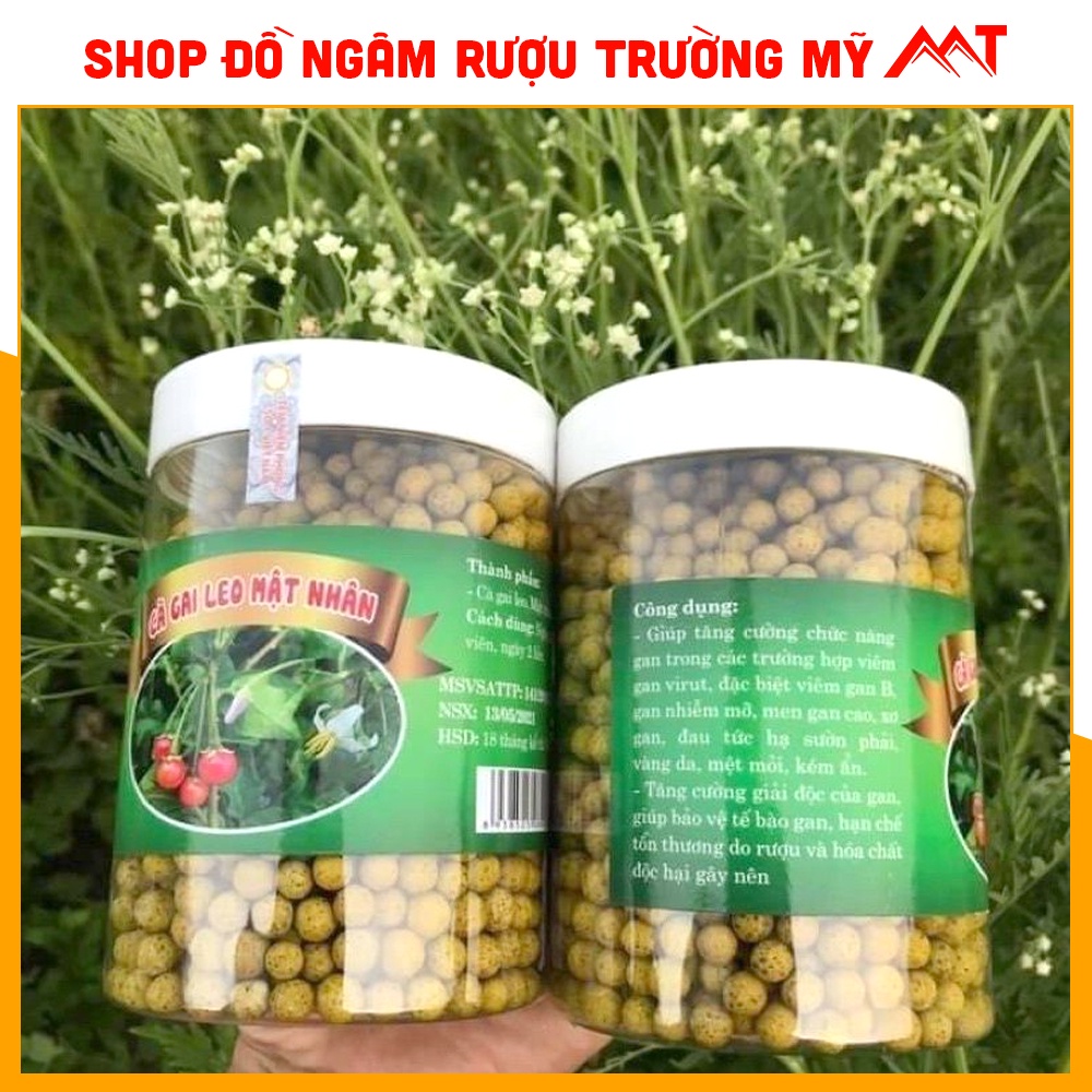 Viên cà gai leo mật nhân - thảo mộc của người việt