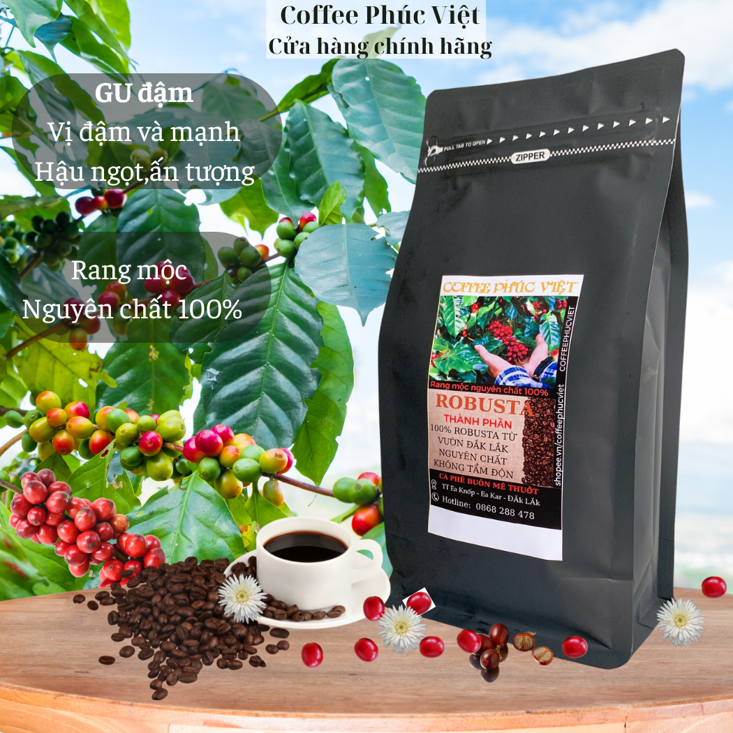 500gr Cà phê Robutsa rang mộc nguyên chất 100% dùng pha phin