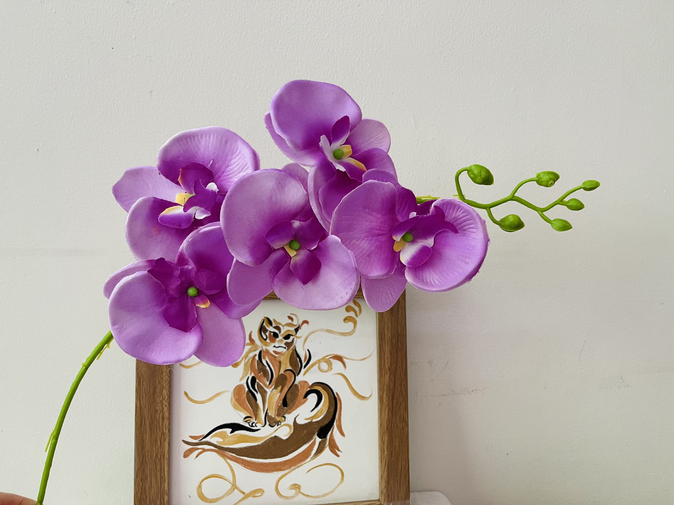Hoa giả, hoa vải lụa - cành lan hồ điệp trang trí decor...