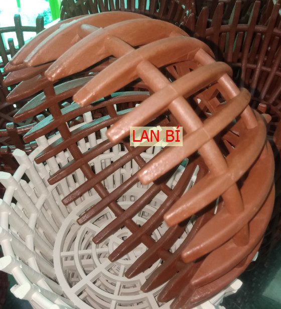 Combo 5 chậu nhựa trồng lan - chậu trồng lan - lan bí - phi 23