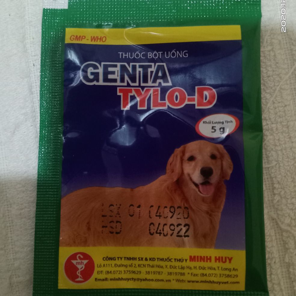 Genta tylo-D đường ruột trên chó