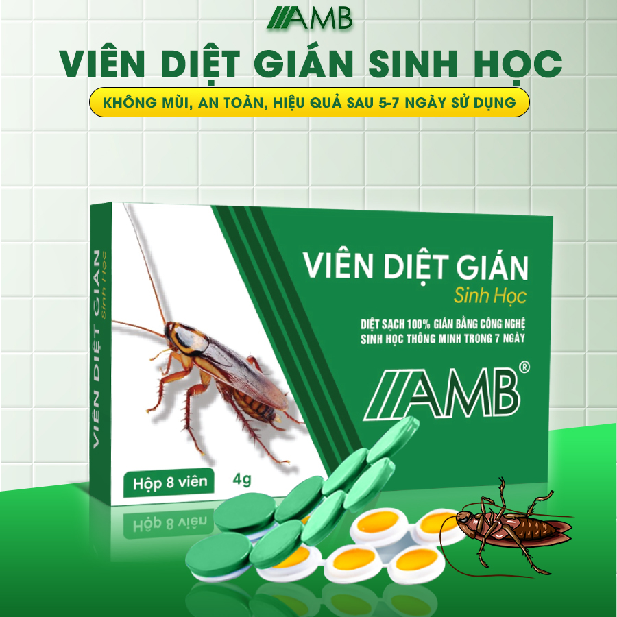 Combo 2 hộp viên diệt gián sinh học AMB, thuốc diệt gián Đức hiệu quả nhanh chóng, an toàn sức khỏe
