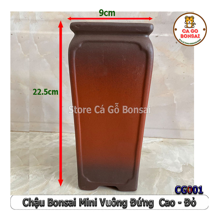 Chậu bonsai mini vuông đứng cao đỏ - cg001