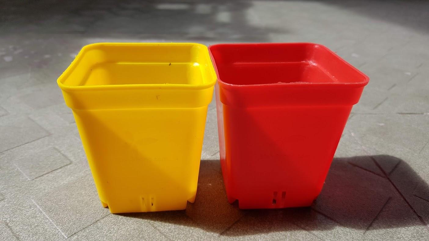 [HCM]Set 10 chậu vuông 7x7 nhiều màu  - Sản phẩm chất lượng - gian hàng uy tín - giá luôn tốt - mua ngay kẻo lỡ !