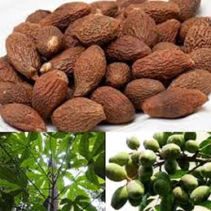 500g hạt đười ươi rừng ngon rẻ
