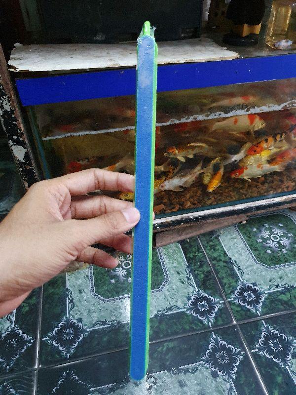 "Hoàn tiền đến 10%" THANH SỦI OXY BỌT DÀI 30CM