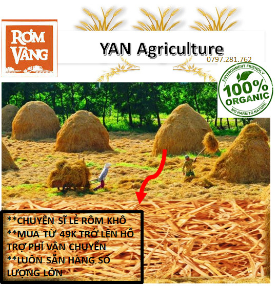 Nữa kí rơm khô/0.5 kg rơm khô/rơm khô/rơm khô trồng cây/rơm khô trang trí/rơm khô thay giấy lót quà