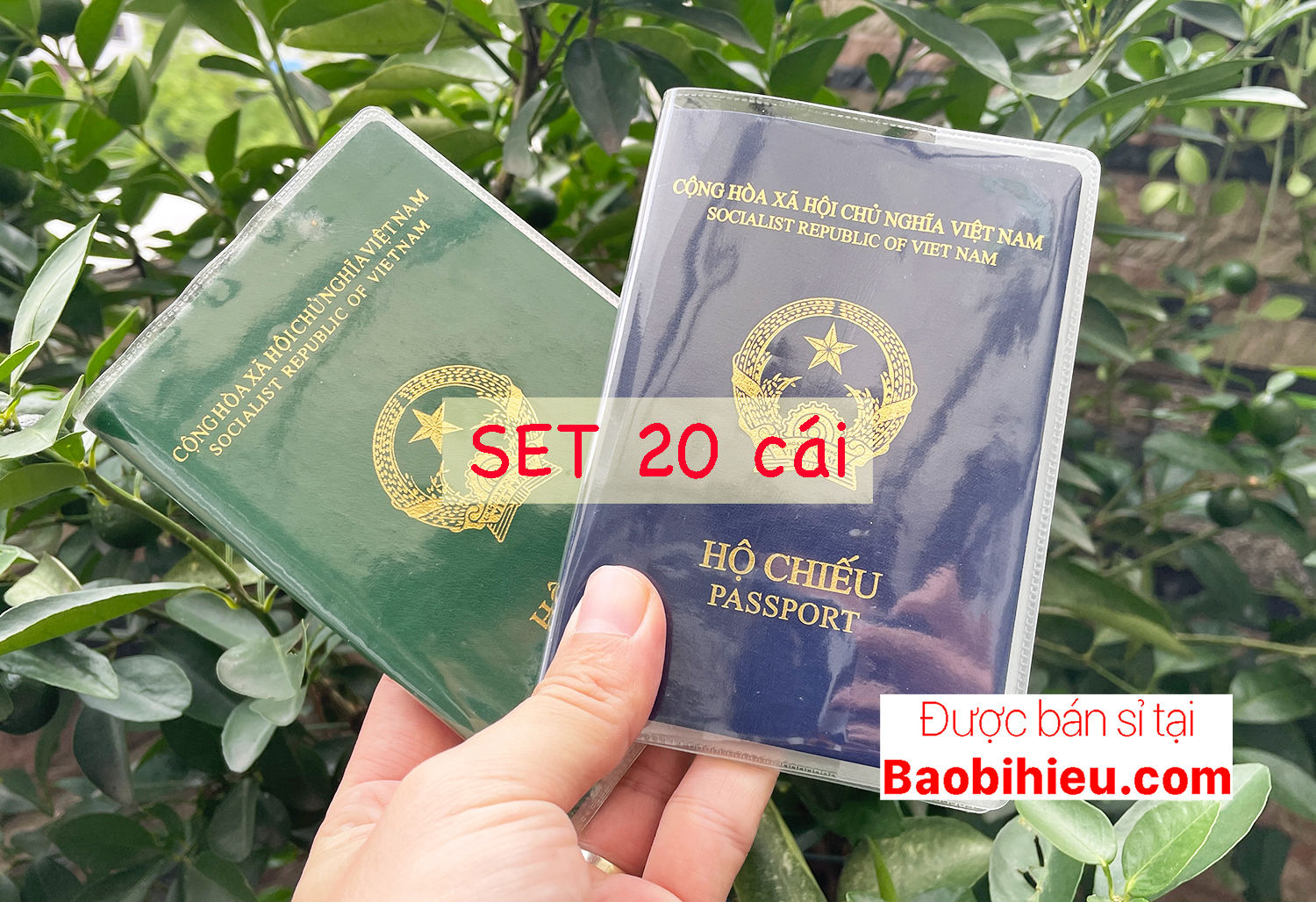 COMBO 20 vỏ bao hộ chiếu dẻo trong có khe đựng vé máy bay và các loại thẻ 20B132