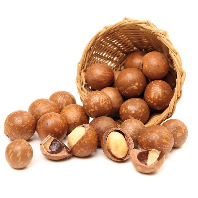 Lon pet 500gram hạt mắc ca sấy - mắc ca đăk lăk