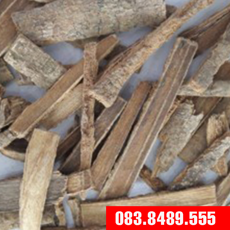 Ngũ Gia Bì (1KG) - Cực tốt cho người bệnh Gout DV233