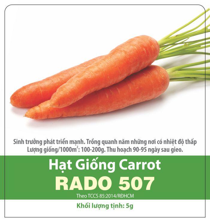 Hạt Giống Cà Rốt Củ To (5gram)
