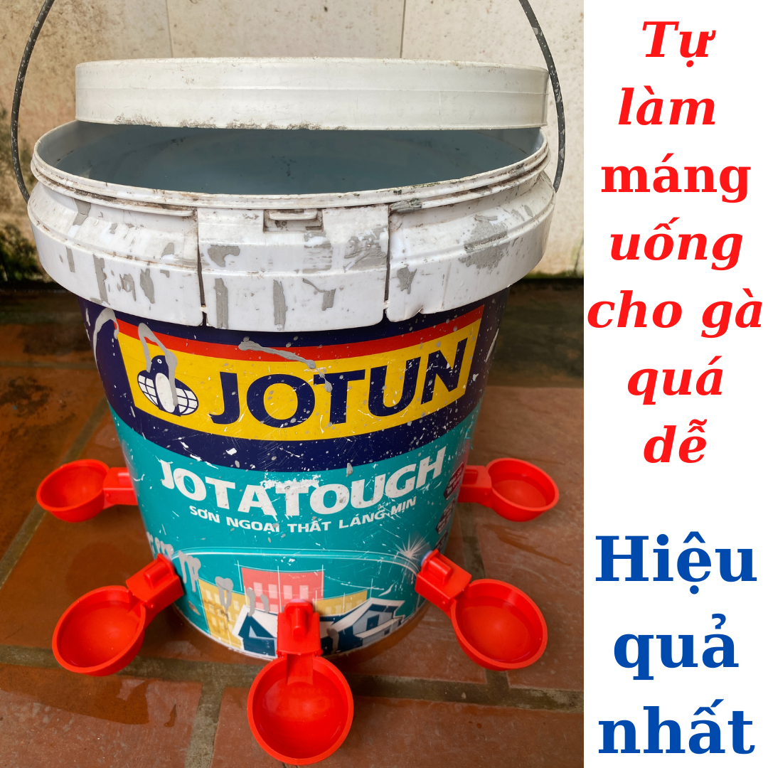Máng uống nước tự động cho gà,vịt,ngan loại xịn dạng cốc.