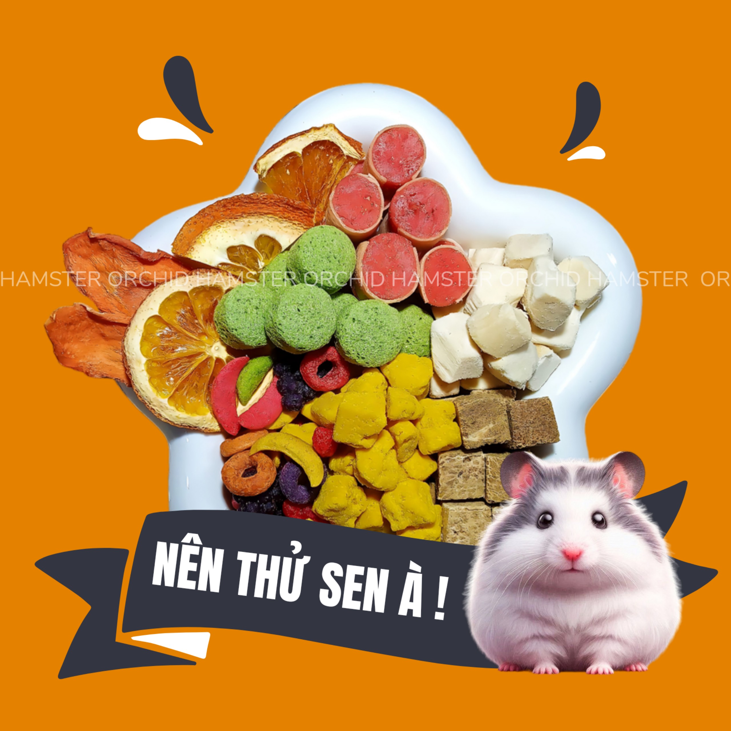 Thức ăn hamster vị bát bửu bổ sung vitamin/đạm/protein/xơ cho hamster,sóc,nhím,thỏ/bọ/rát....