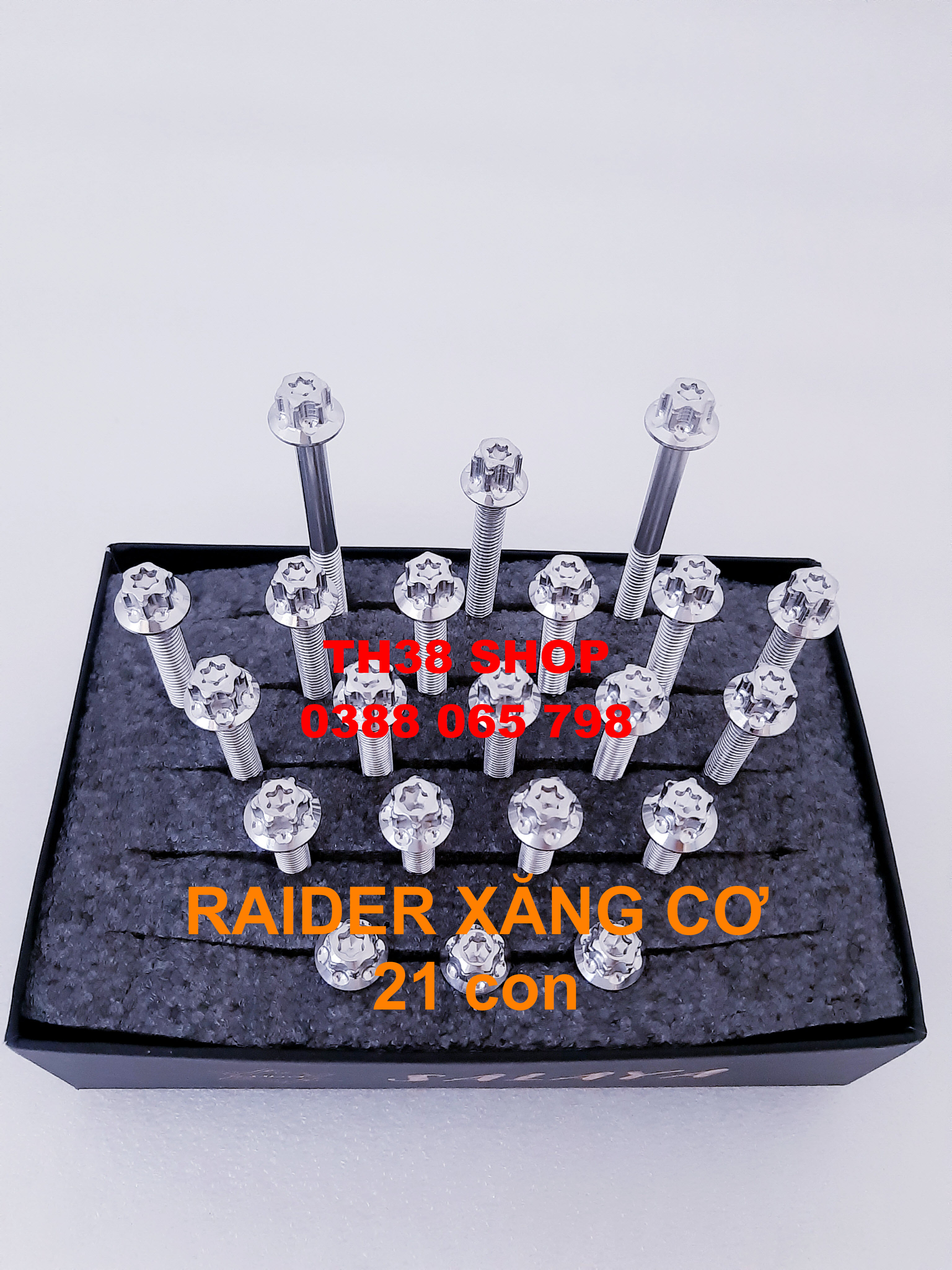 ốc lốc máy salaya raider xăng cơ/ raider xc [21 con]