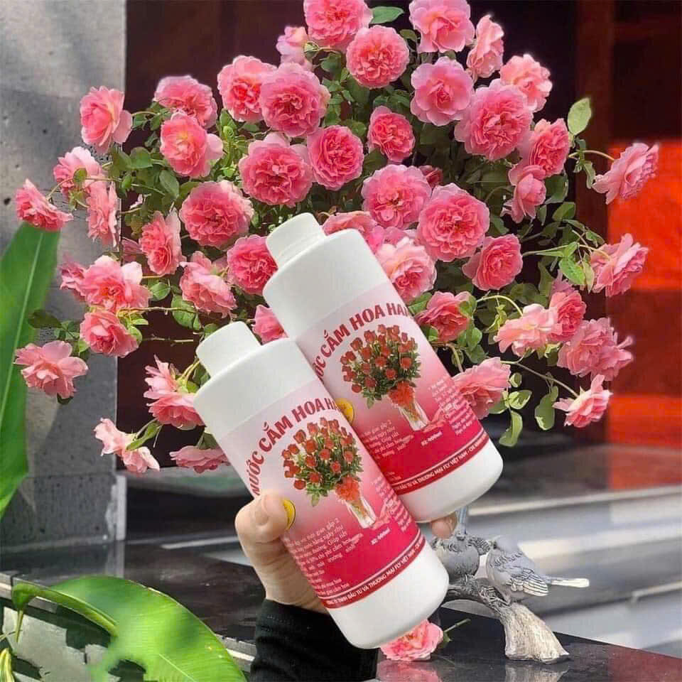 NƯỚC CẮM HOA TƯƠI GIỮ HOA TƯƠI LÂU HƠN VÀ KHÔNG BỊ THỐI 400ML