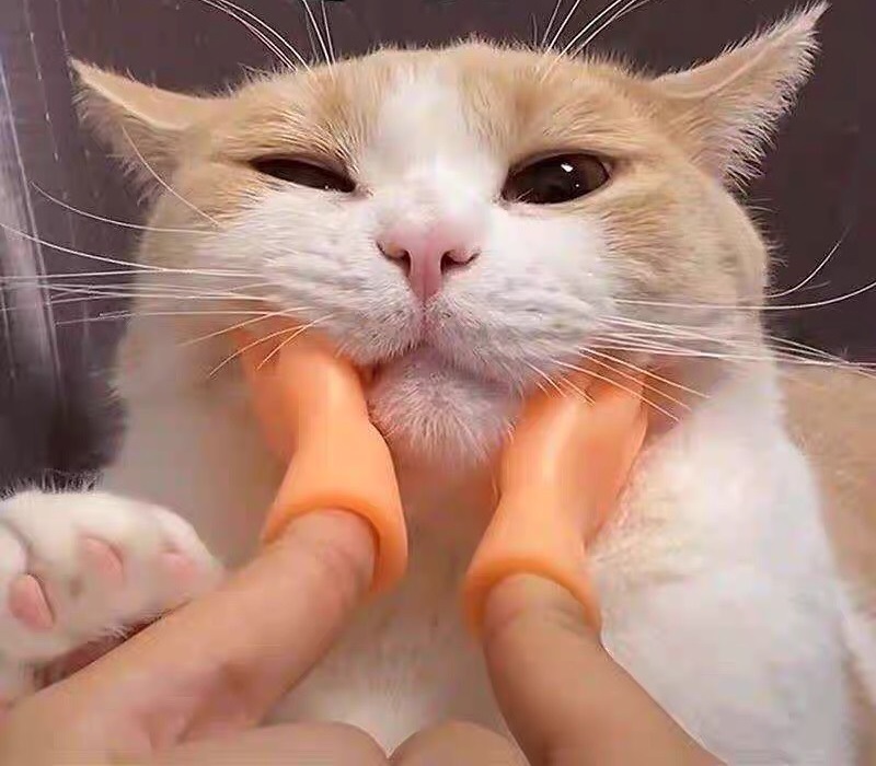 Đồ chơi đeo ngón tay hình bàn tay mini vui nhộn dùng chọc ghẹo chó mèo