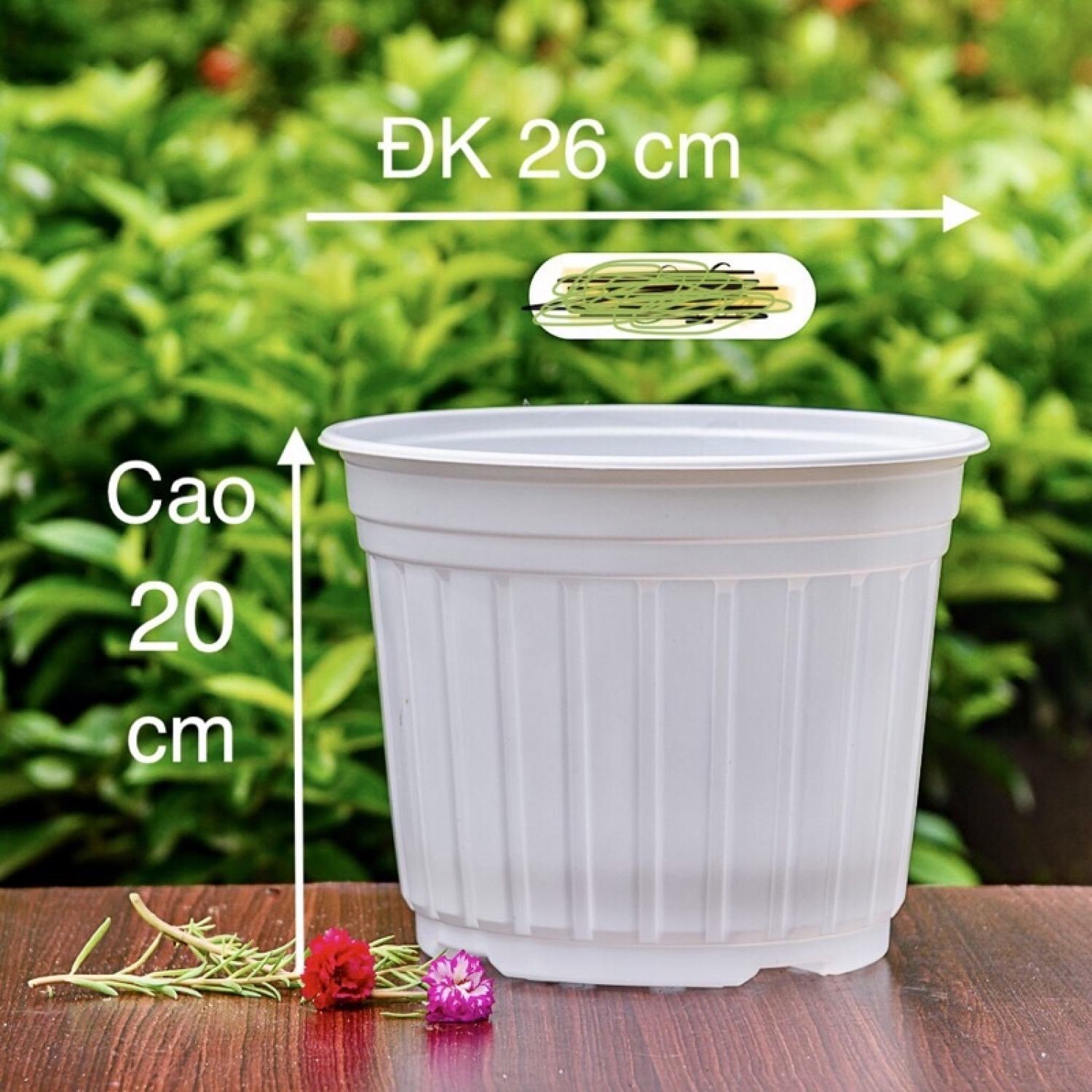 Chậu nhựa trắng T26 trồng cây, trồng hoa Nhựa cao cấp