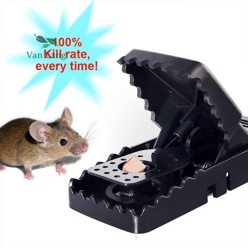 Bẫy chuột đen thông minh