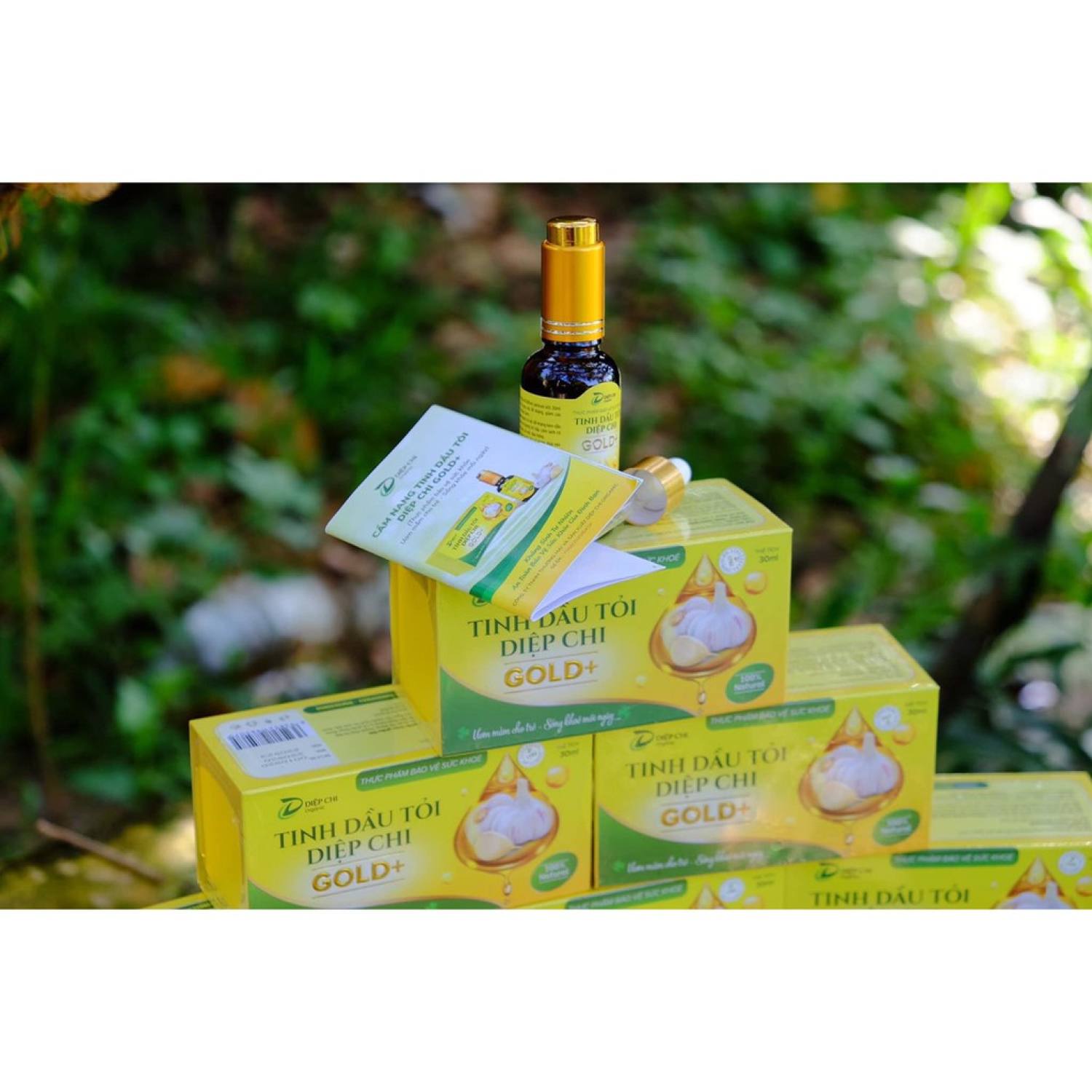 Dầu tỏi diệp chi gold +