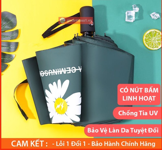 [HCM][DÙ HÀN QUỐC] Ô DÙ HỌA TIẾT HOA CÚC I Ô DÙ CHE NẮNG CHE MƯA I Ô DÙ CHỐNG TIA UV
