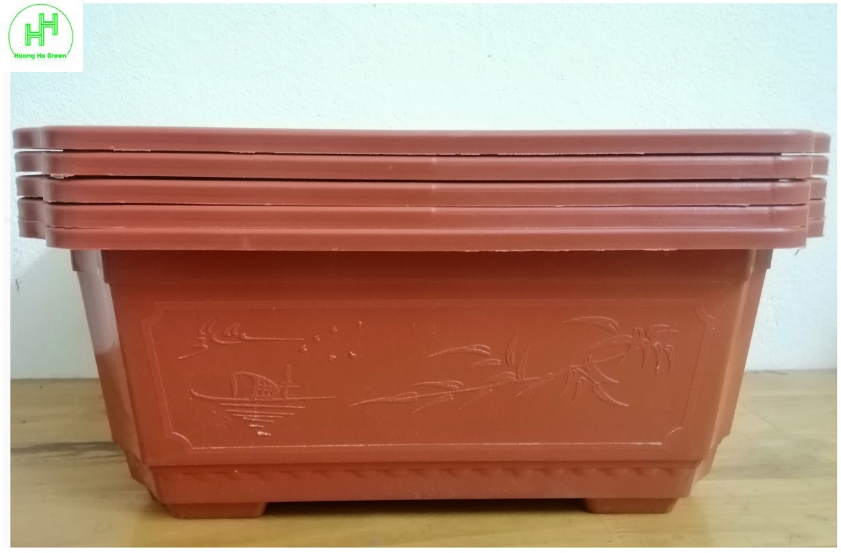 5 Chậu Nhựa Trồng Cây Hình Chữ Nhật Màu Nâu Siêu Đẹp Kích Thước 380x280x160 - Sản Xuất Bởi NHỰA BÌNH THUẬN