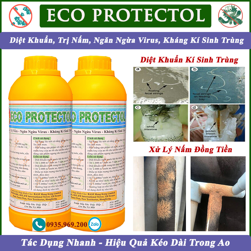 Thuốc Diệt Khuẩn Ao Tôm, Diệt Nấm Đồng Tiền, Kháng Kí Sinh Trùng, Ngừa Đốm Trắng, Hồng Thân, Protectol Chai 1lít