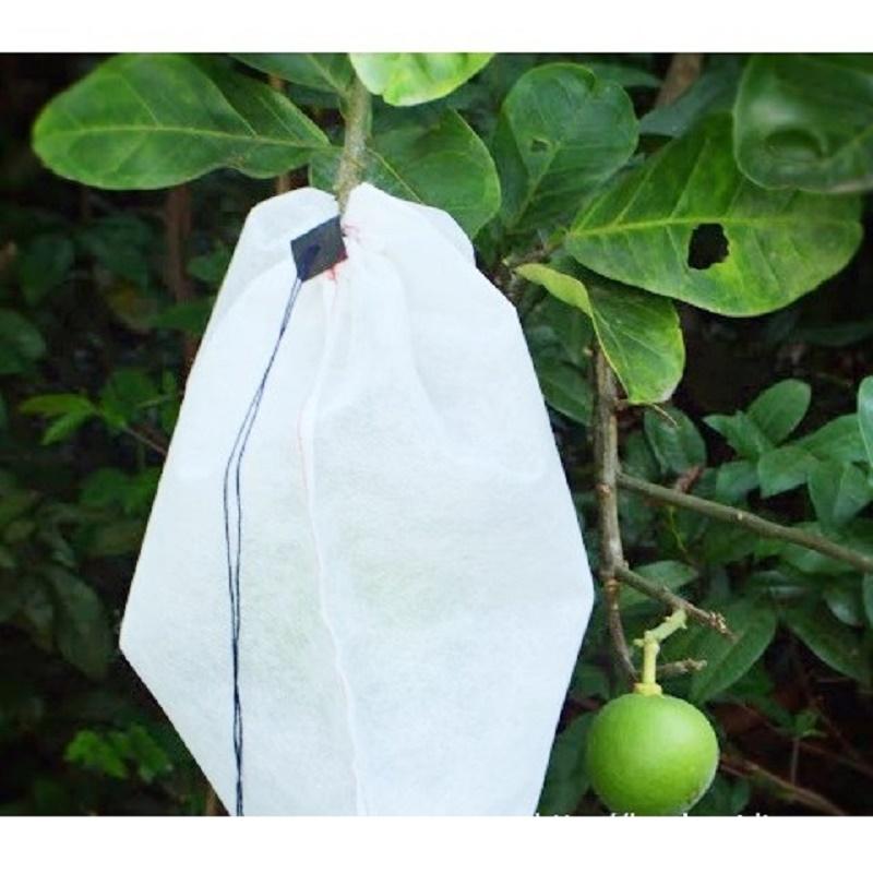 TÚI BỌC TRÁI CÂY BƠ, ỔI, XOÀI, NA BỊCH 100 TÚI CÓ DÂY RÚT 16x20CM