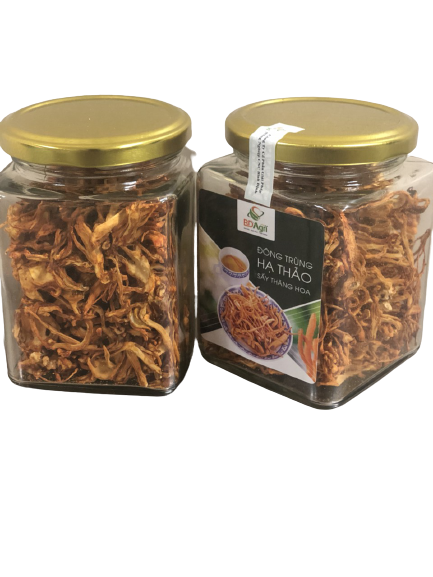 NẤM ĐÔNG TRÙNG HẠ THẢO SẤY NHIỆT BDAGRI ( Ọ 100G NGUYÊN CHẤT 100%)