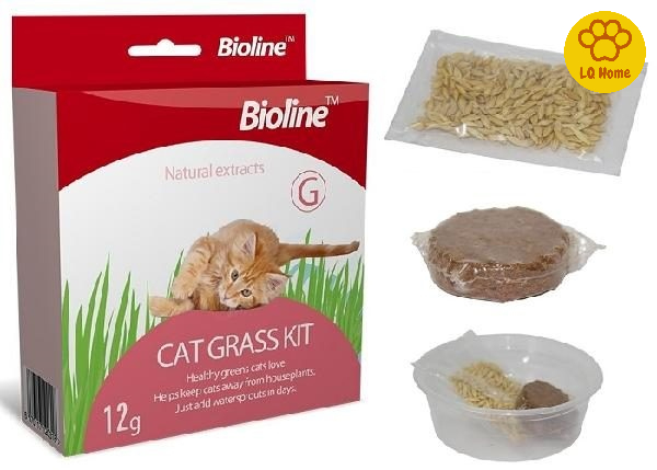 Cỏ mèo cat grass kit bioline - hộp 12g