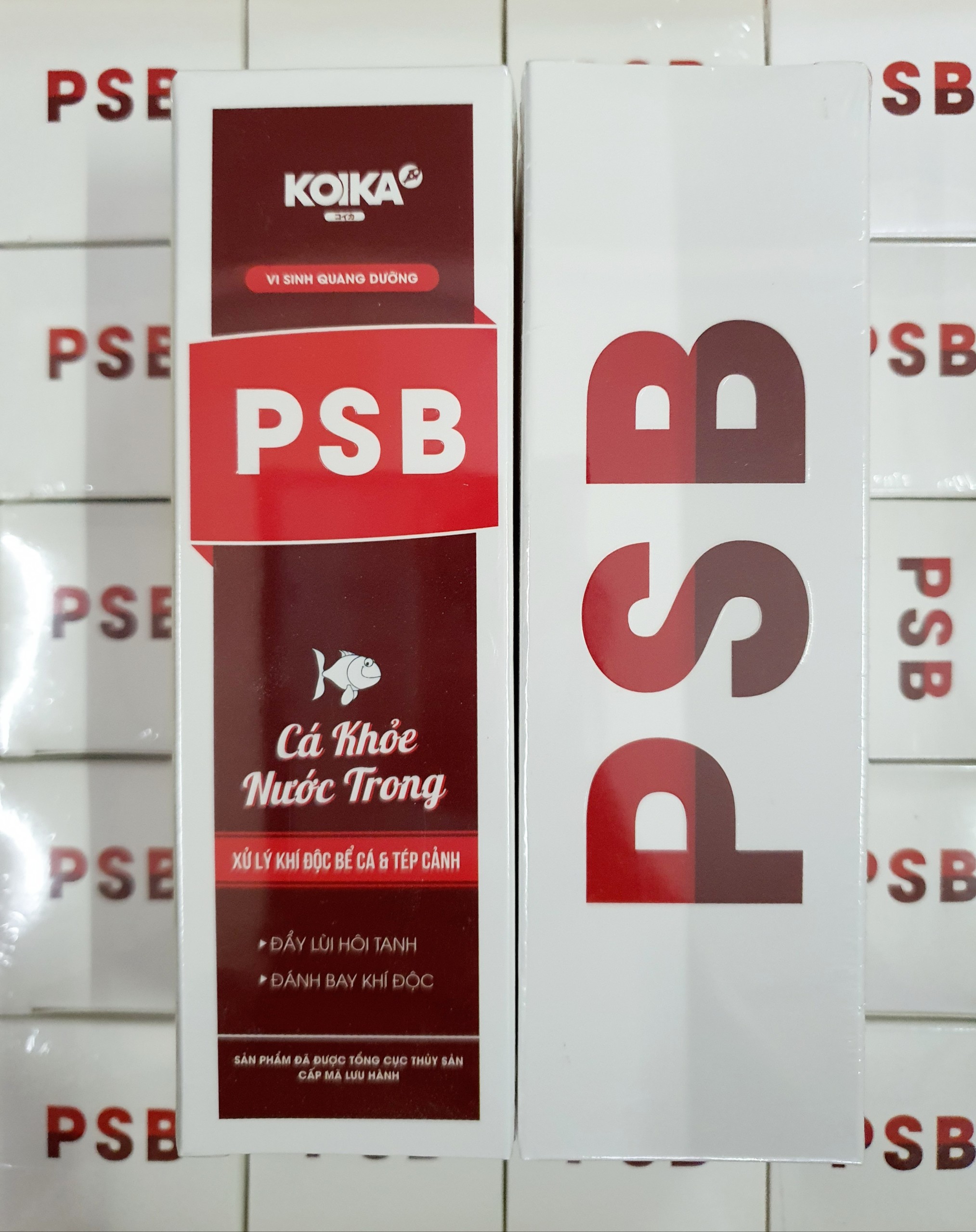 Vi Sinh quang dưỡng KOIKA PSB cho cá cảnh