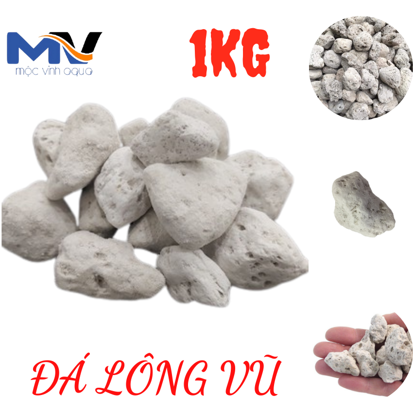 ĐÁ LÔNG VŨ TRẮNG TURKEY | ĐÁ LÔNG VŨ THỔ NHĨ KỲ | ĐÁ LÔNG VŨ LỌC NƯỚC HỒ CÁ | CỬA HÀNG CÁ CẢNH VÀ THIẾT BỊ LỌC NƯỚC HỒ CÁ MỘC VINH AQUA