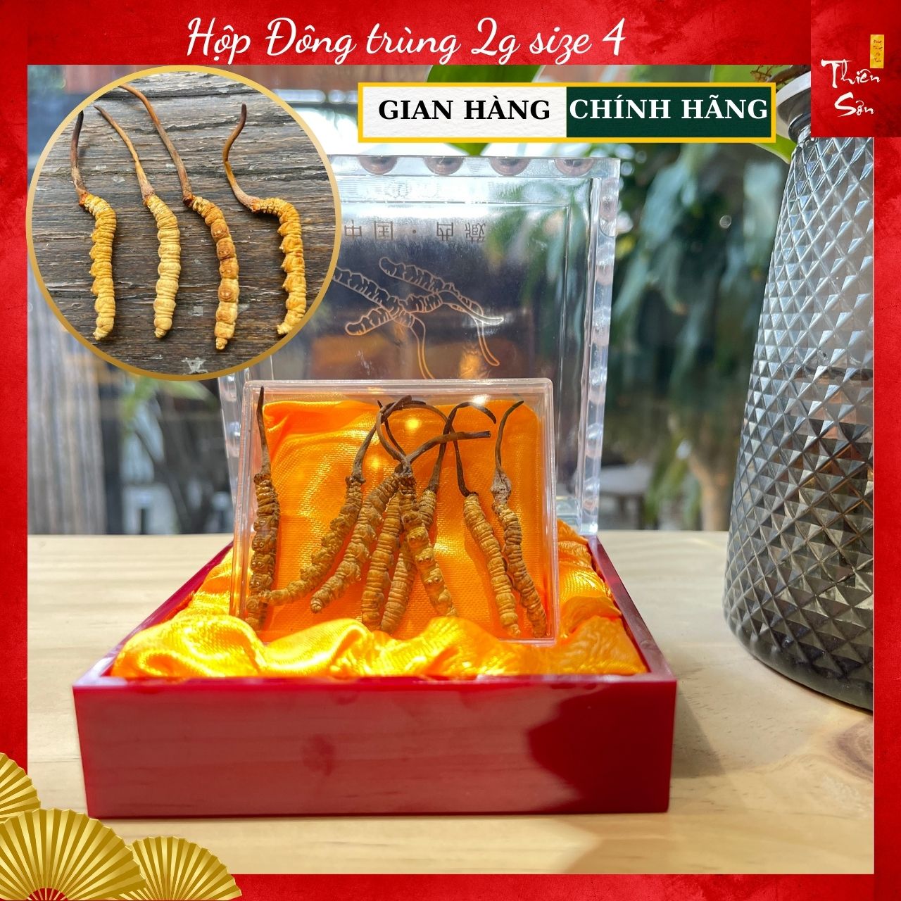 Đông Trùng Hạ Thảo Tây Tạng, Đông trùng hạ thảo khô nguyên con cao cấp 2g loại size 4 con/gr