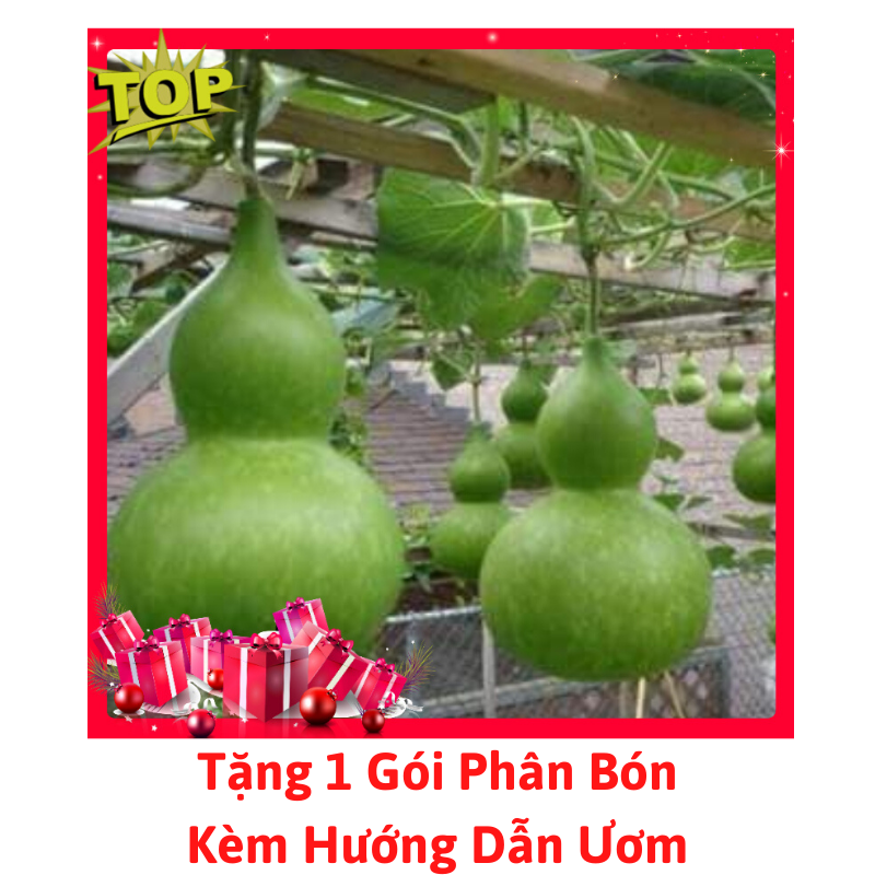[Lấy mã giảm thêm 30%] Gói Hạt Giống Bầu Hồ Lô
