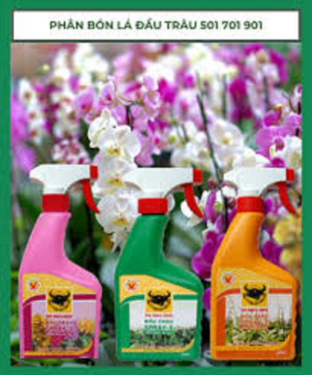 3 chai phân đầu trâu spray 1,2,3 phân bón lá cao cấp chuyên bón hoa lan– cây kiểng