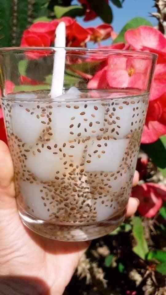 Thạch dừa thô bến tre 1kg+ hương dừa